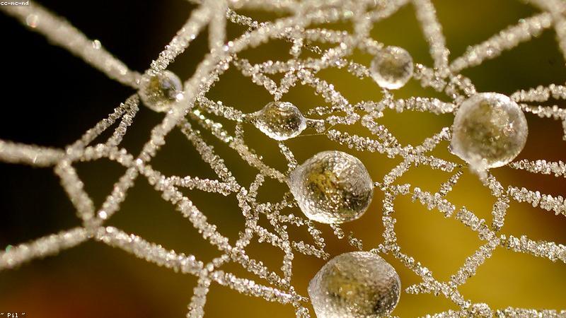 Close-up of a person inserting rechargeable AA batteries into a smart battery charger with an LCD screen displaying charging status.