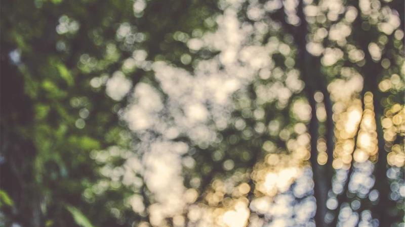 A lifestyle flat lay image showing a battery charger surrounded by various household gadgets like a TV remote, wireless mouse, digital camera, and a flashlight.