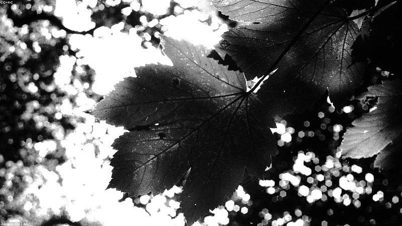 Close up of a cryptocurrency trading dashboard showing Bitcoin charts and order books