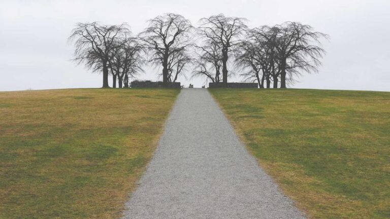 The Best Laptop 2026 for Home Use: Ultimate Guide