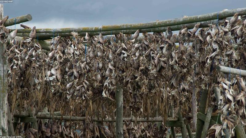 close up of ergonomic monitor stand and clean cable management under a desk