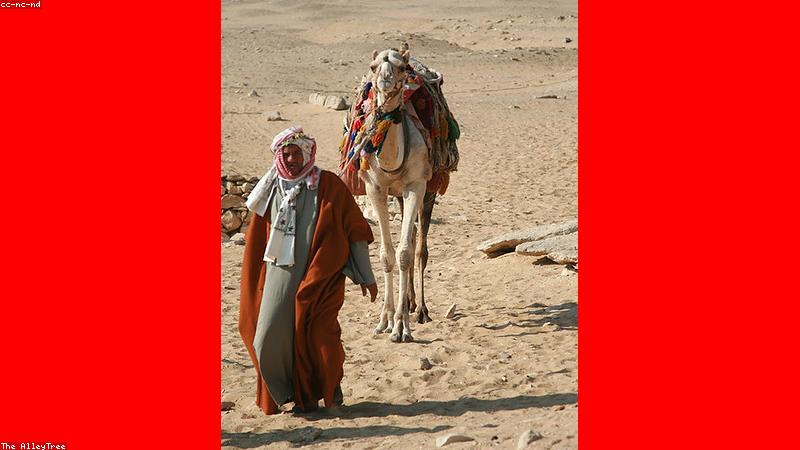 person wearing blue light glasses working on a computer monitor in a well-lit room