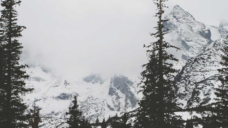 A Kiwi freelancer sitting at a desk with a laptop, a coffee cup, and a notebook, managing their business finances