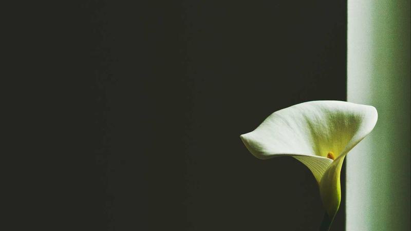 Close-up of a person wearing sleek black wireless earbuds, outdoors on a sunny day, looking relaxed.