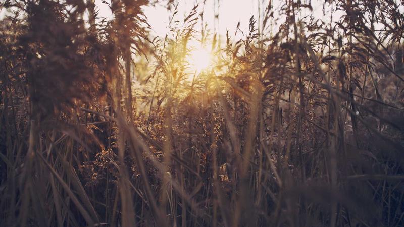 A flat lay photography of various true wireless earbuds with charging cases on a clean, modern desk setting