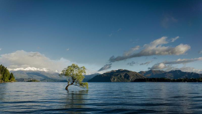 Chart depicting the correlation between global M2 money supply growth and Bitcoin's rising price trajectory