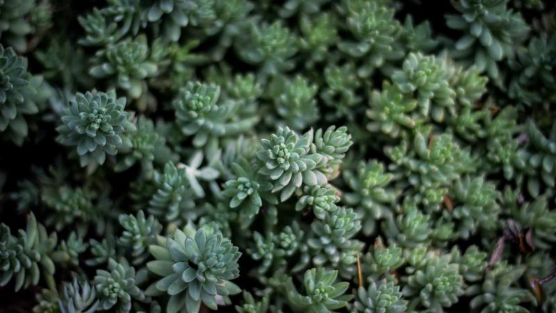 A futuristic digital cityscape with a glowing Bitcoin logo hovering in the sky, cyberpunk aesthetic, professional financial concept