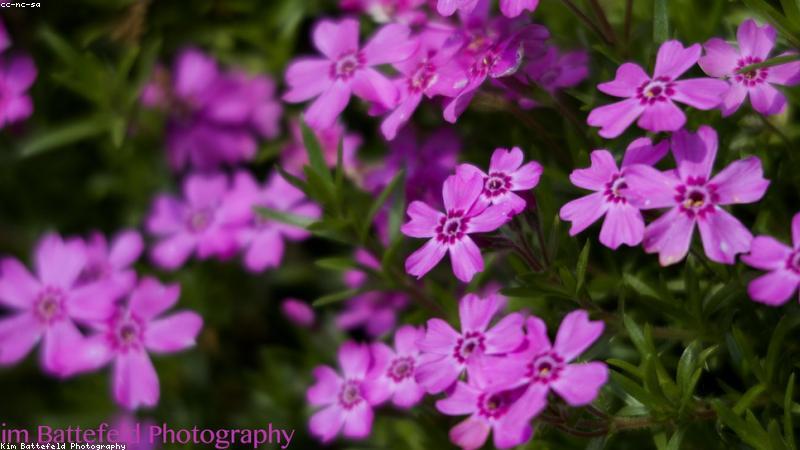 Close up shot of a person's wrist wearing a smartwatch, tapping the screen which displays health and heart rate metrics.