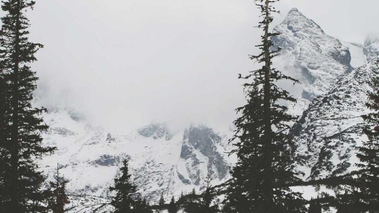 Smartwatch Comparison Website: Find Your Fit