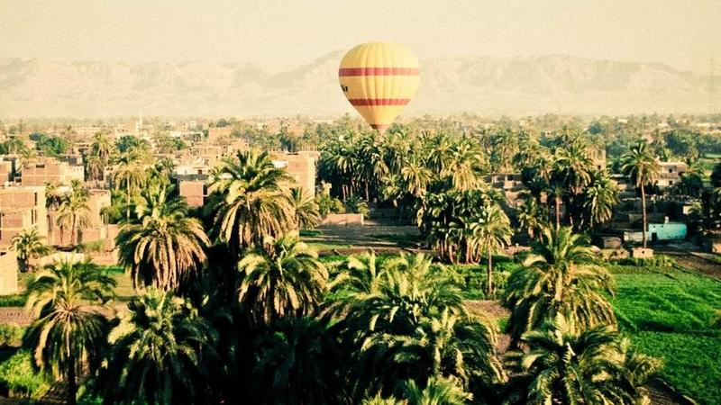 A futuristic dashboard showing AI automated workflows, connecting nodes, and revenue metrics in a dark-mode interface