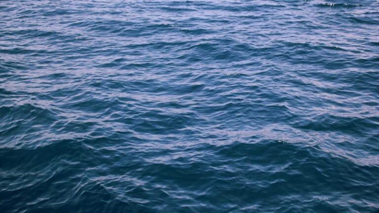 Top Side Hustle Ideas 2026 for Startup Founders