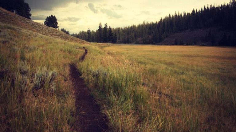 Top Side Hustle Ideas to Build Your Startup