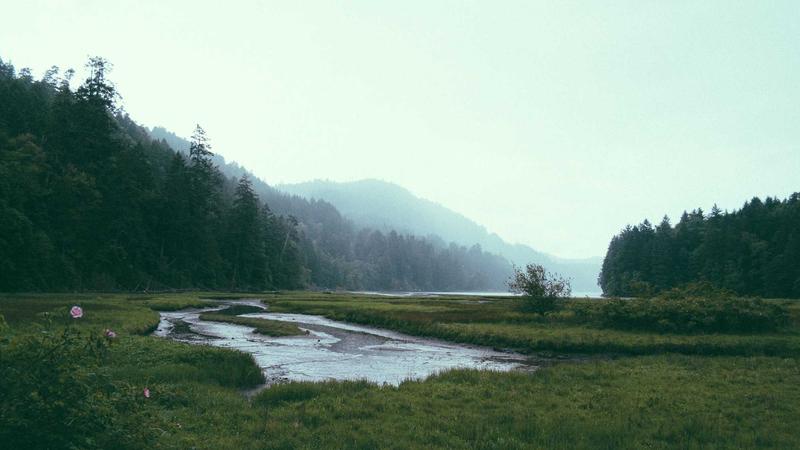 A sleek, modern living room showcasing futuristic smart home devices 2025 integrated seamlessly into the decor with ambient lighting.