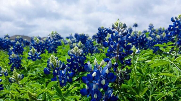 Top Smart Home Devices 2025: Complete Tech Guide