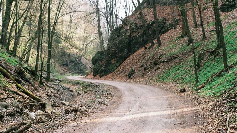 A sleek smart door lock installed on a wooden front door in an Indian apartment, showcasing modern home security.